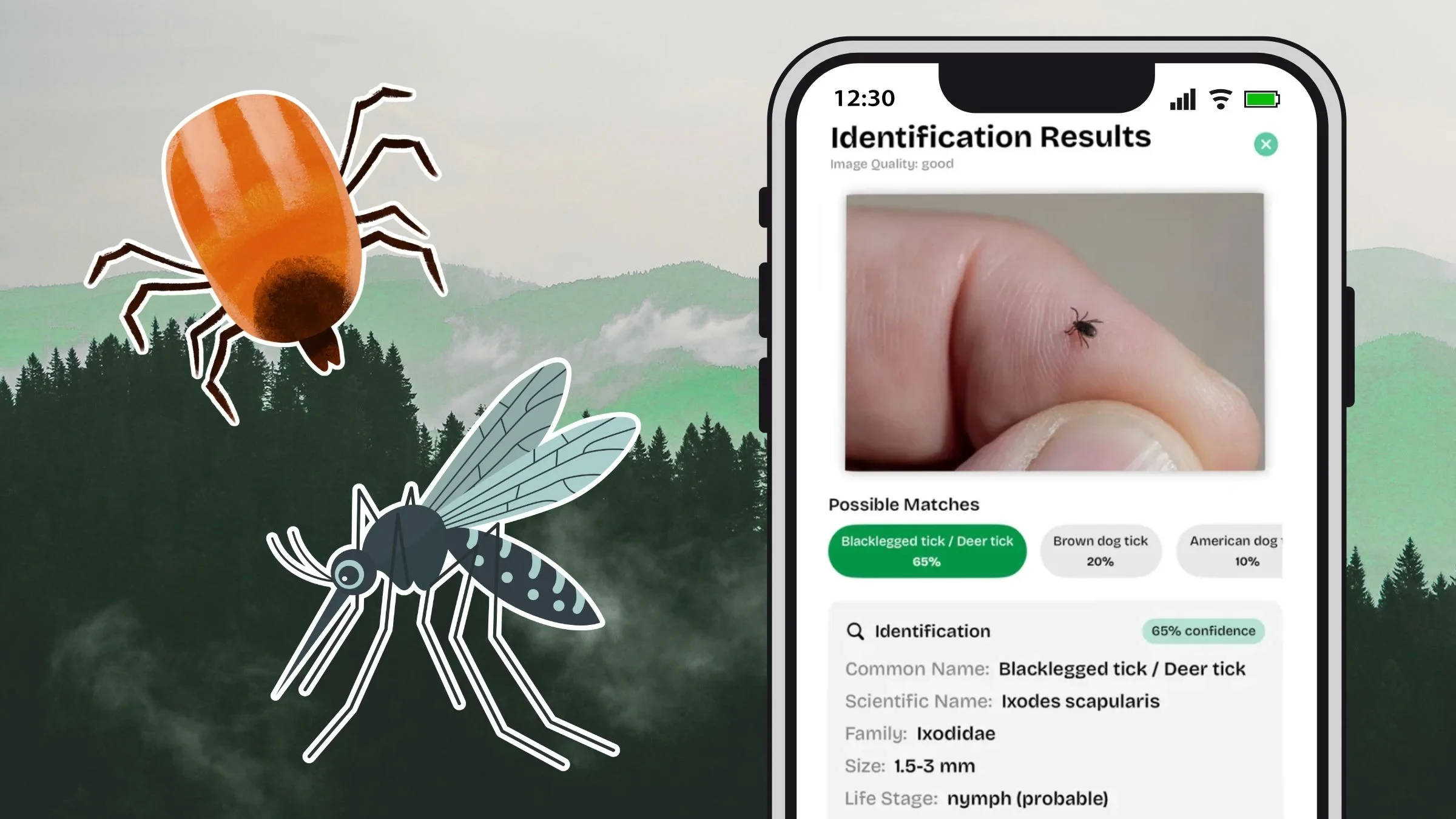 As Tick-Borne Diseases Rise, One Researcher Built an App to Fight Bug Myths