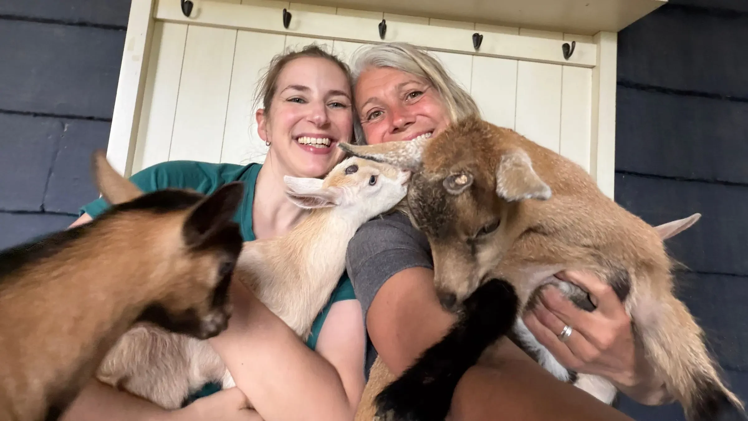 I Spent an Hour with Baby Goats to See If Animal Therapy Is Worth the Hype